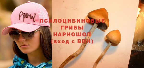 скорость Алексеевка