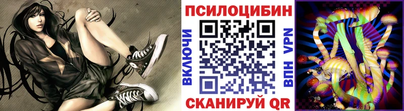 где купить Камбарка Галлюциногенные грибы ЛСД