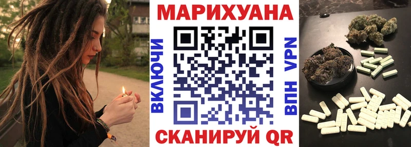 Марихуана сатива Камбарка